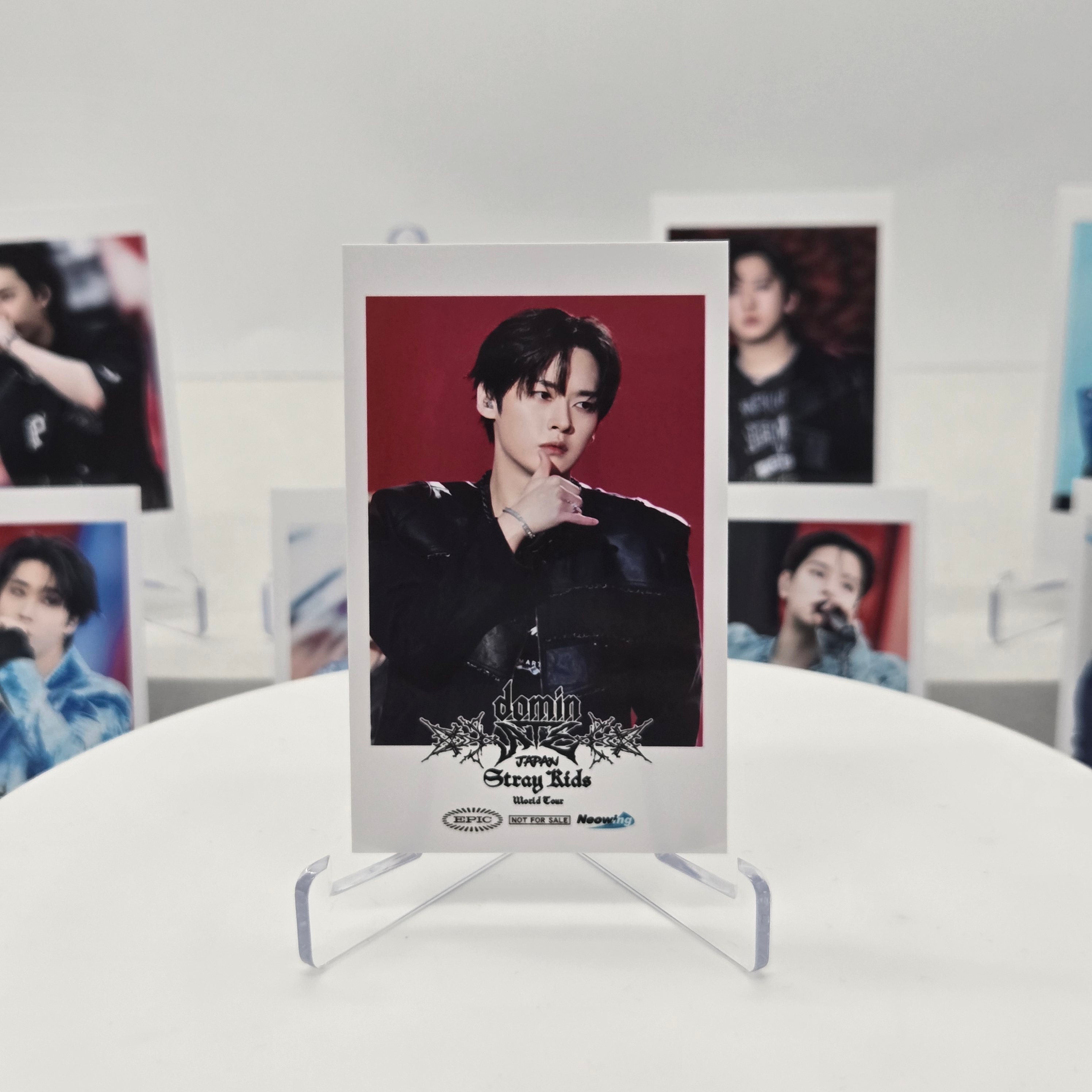 STRAY KIDS - WORLD TOUR [DOMINATE JAPAN] - EXCLUSIVE MEMBER PHOTO POB