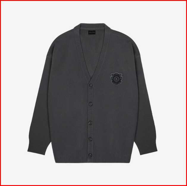 STRAY KIDS - CARDIGAN - SKZ'S MAGIC SCHOOL