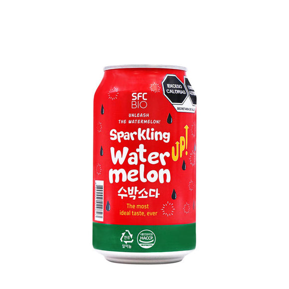Sparkling Watermelon Soda Drink (350ml)
