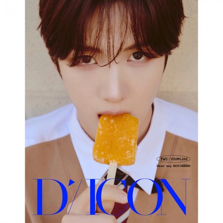 TWS - DICON VOLUME MAGAZINE N°34